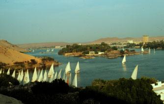 Flucca in Aswan